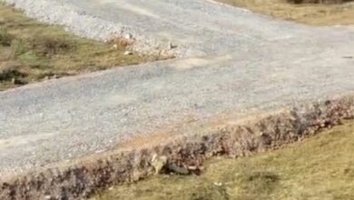 IMG 20260219 WA0016 2