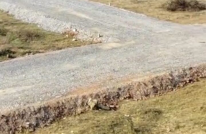 1 IMG 20260219 WA0016 2