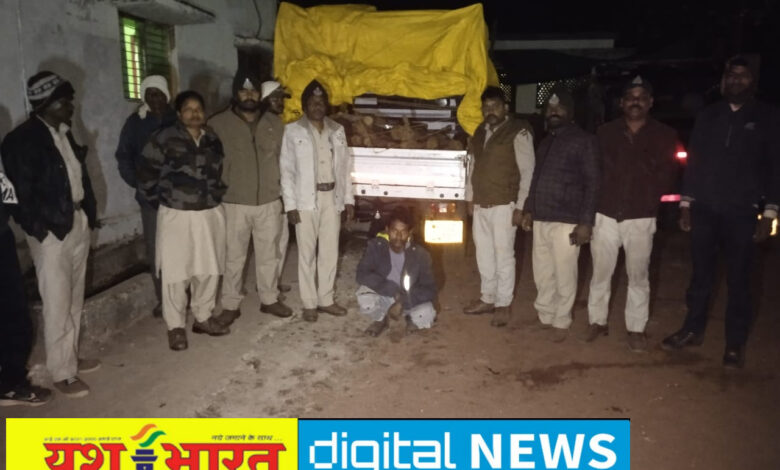 ढीमरखेड़ा में वन विभाग की बड़ी कार्रवाई, अवैध बल्लियों से भरा वाहन जब्त 1 IMG 20260228 155557