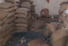 Screenshot 20260202 125107.WhatsApp