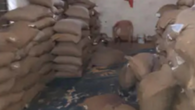 Screenshot 20260202 125107.WhatsApp