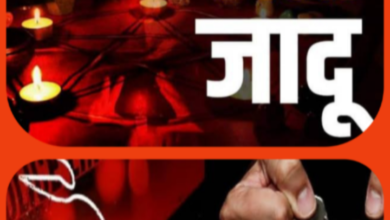 Screenshot 20260202 205924.Gallery