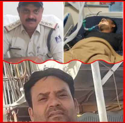 Screenshot 20260203 121511.Gallery