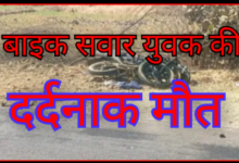 Screenshot 20260207 143052.Gallery