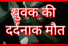 Screenshot 20260210 120511.Gallery