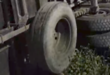 Screenshot 20260210 151238.Gallery