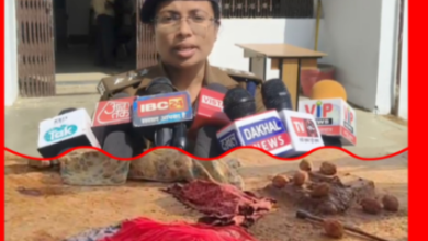 Screenshot 20260212 131759.Gallery