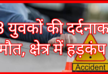 Screenshot 20260214 093640.Gallery