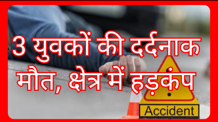 Screenshot 20260214 093640.Gallery