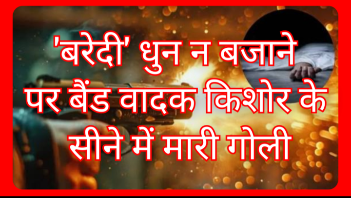 Screenshot 20260214 124550.Gallery