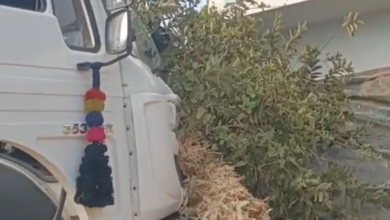 Screenshot 20260214 191455.WhatsApp