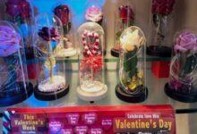 Screenshot 20260214 104935 Google