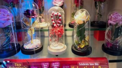 Screenshot 20260214 104935 Google