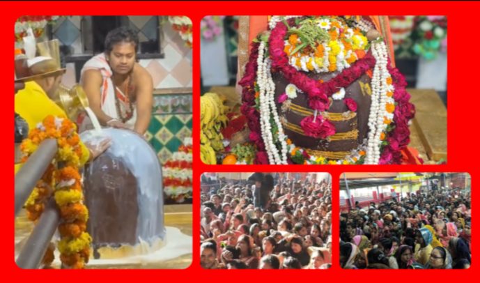 Screenshot 20260215 125510.Gallery