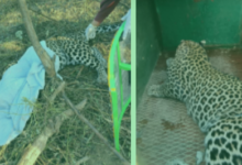 Screenshot 20260215 163714.WhatsApp