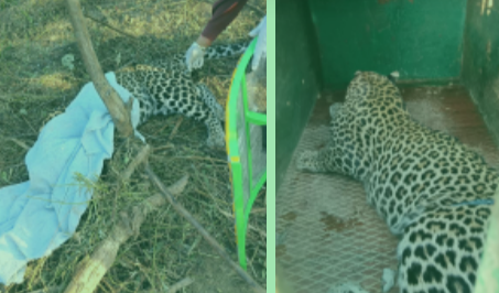 Screenshot 20260215 163714.WhatsApp