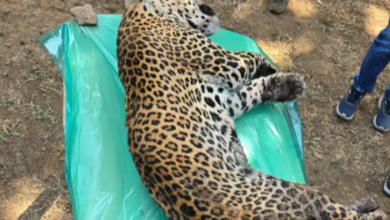 Screenshot 20260216 130144.Dainik Bhaskar