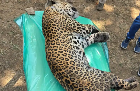 Screenshot 20260216 130144.Dainik Bhaskar