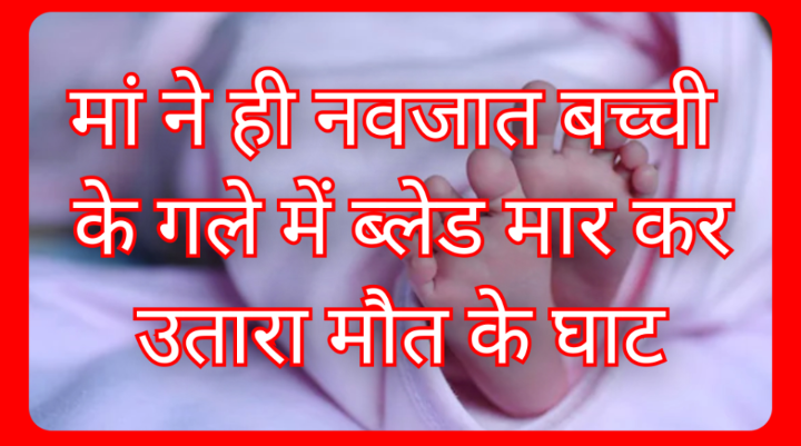 Screenshot 20260218 103140.Gallery