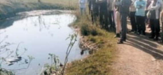 Screenshot 20260218 174753.WhatsApp