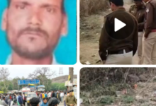 Screenshot 20260219 203823.WhatsApp