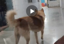 Screenshot 20260220 122914.WhatsApp