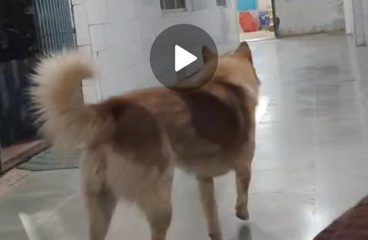 Screenshot 20260220 122914.WhatsApp