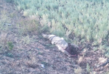 Screenshot 20260224 181444.WhatsApp