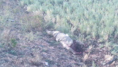 Screenshot 20260224 181444.WhatsApp