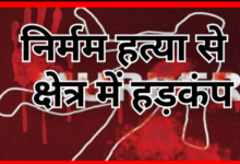 Screenshot 20260225 215251.Gallery