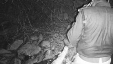 Screenshot 20260228 115713.WhatsApp