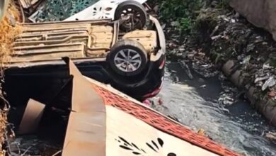 WhatsApp Image 2026 02 01 at 15.56.02