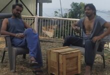 WhatsApp Image 2026 02 01 at 17.31.45 e1769949744609