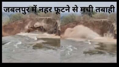 WhatsApp Image 2026 02 01 at 4.01.00 PM