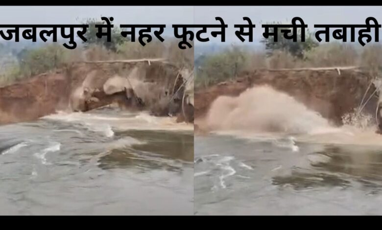 WhatsApp Image 2026 02 01 at 4.01.00 PM