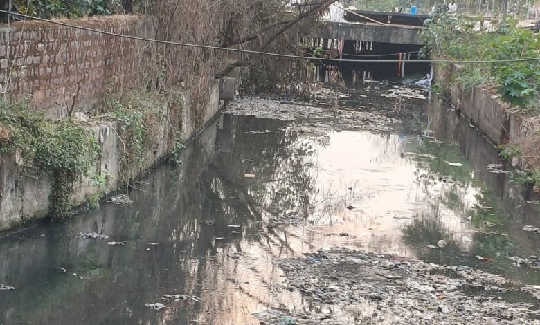 बाणगंगा क्षेत्र में नाले की गंदगी बनी गंभीर समस्या 1 WhatsApp Image 2026 02 02 at 13.16.37