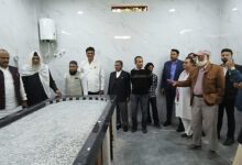 WhatsApp Image 2026 02 03 at 13.28.32