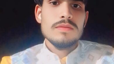 WhatsApp Image 2026 02 04 at 12.37.55 1