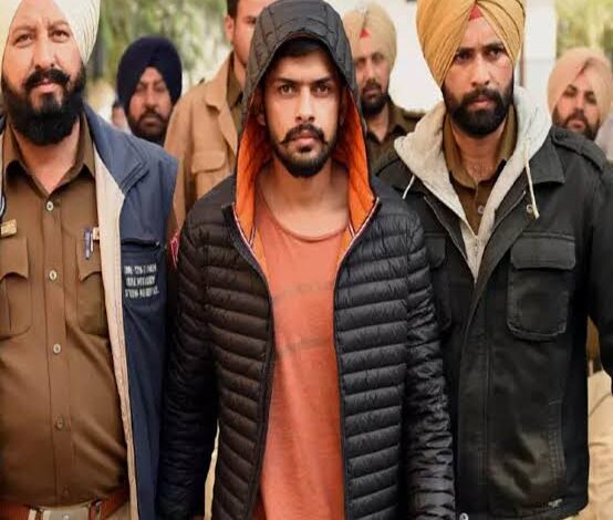 WhatsApp Image 2026 02 07 at 3.05.13 PM