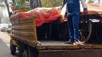 WhatsApp Image 2026 02 08 at 15.28.18 e1770550292868