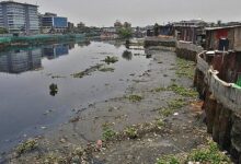 WhatsApp Image 2026 02 08 at 5.02.45 PM