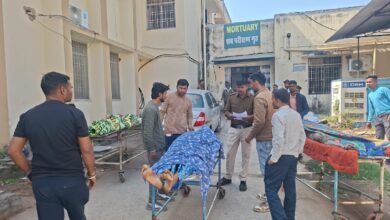 WhatsApp Image 2026 02 09 at 12.06.03 PM