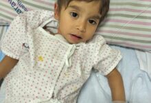 WhatsApp Image 2026 02 10 at 2.41.40 PM