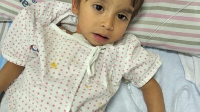 WhatsApp Image 2026 02 10 at 2.41.40 PM