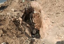 WhatsApp Image 2026 02 10 at 20.20.43