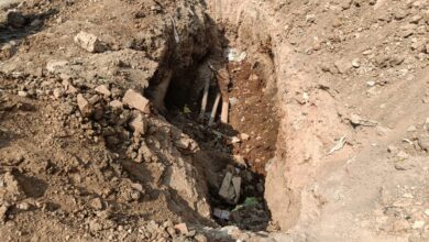 WhatsApp Image 2026 02 10 at 20.20.43