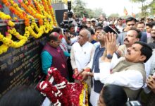 WhatsApp Image 2026 02 11 at 13.41.56