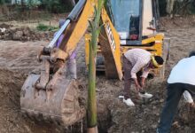 WhatsApp Image 2026 02 11 at 4.34.36 PM 1