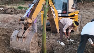 शहरी विकास के साथ पर्यावरण संतुलन पर जेडीए का फोकस, बिना कटाई किए पेड़ों का सुरक्षित प्रत्यारोपण 9 WhatsApp Image 2026 02 11 at 4.34.36 PM 1