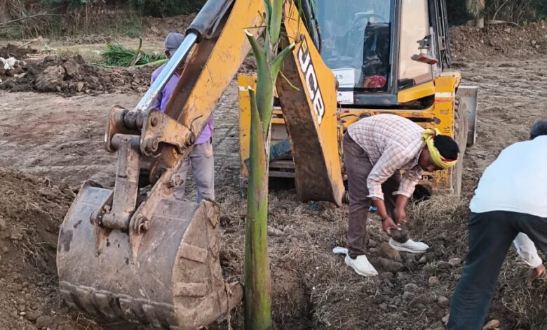 WhatsApp Image 2026 02 11 at 4.34.36 PM 1